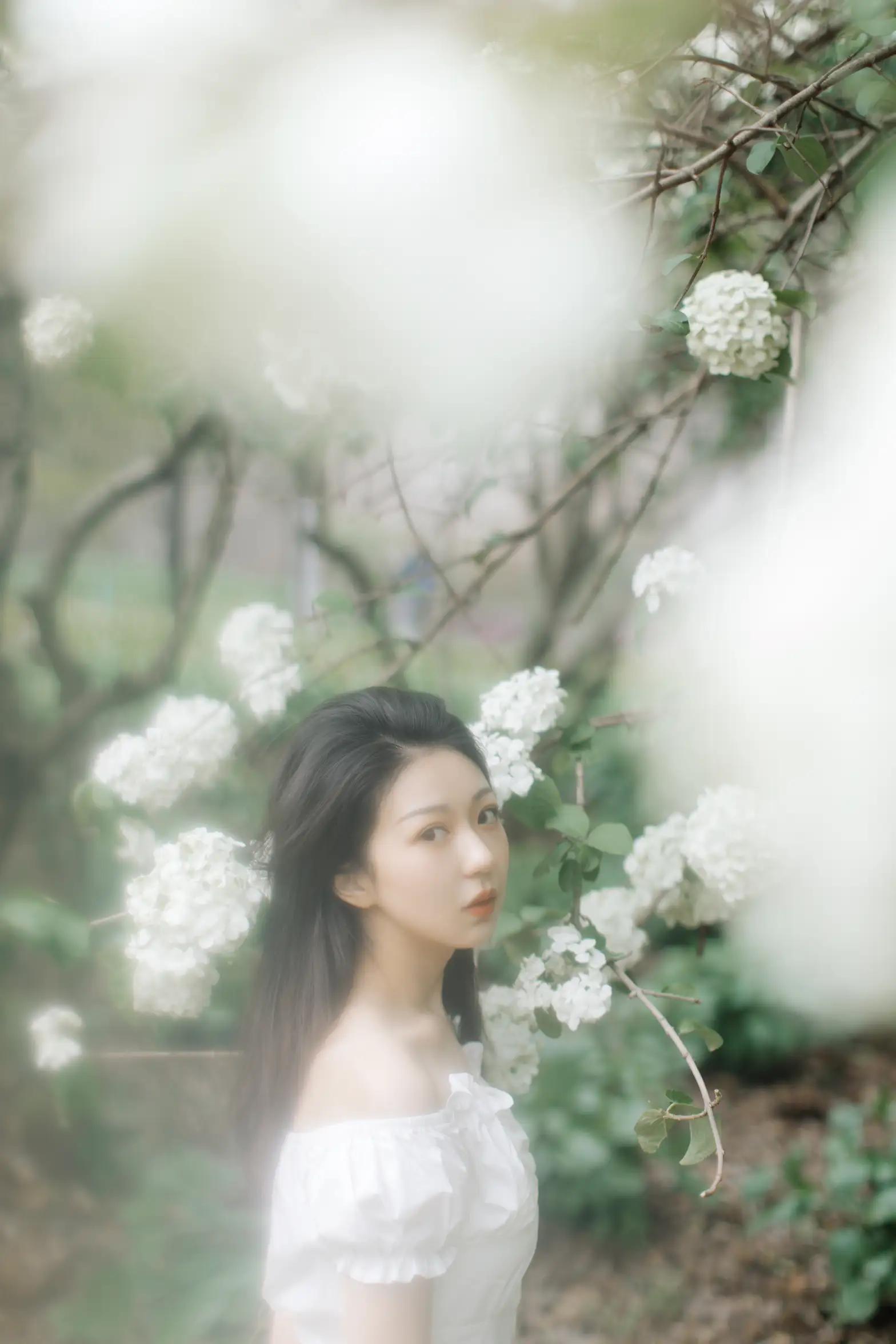 [YITUYU] 2021.12.31 Vol.565 – Hydrangea blooms little tom#[22P]-3